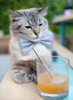 欧冠风云，莱比锡红牛逆袭利物浦，若日尼奥决赛展现王者风范