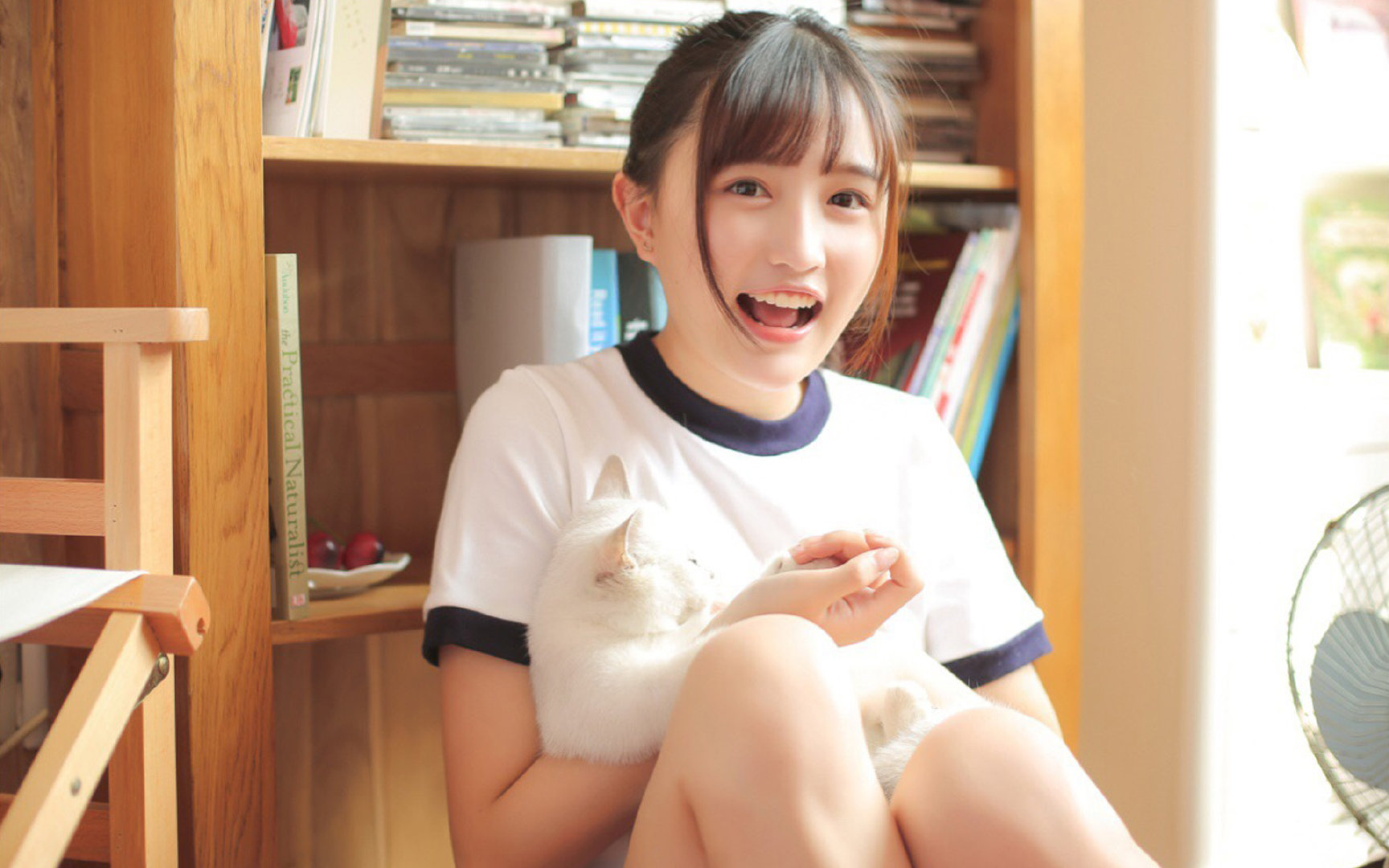 极速与冲刺,当F1的引擎轰鸣遇见绿茵场上的生涯之夜