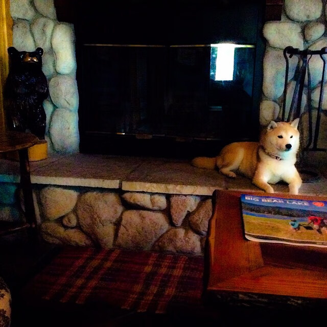 德罗赞绝境逢生，奥运关键战夜的救赎史诗